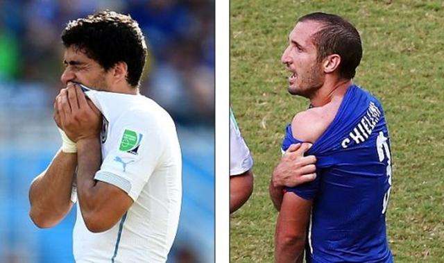 赛季再添亮 赛季再添亮