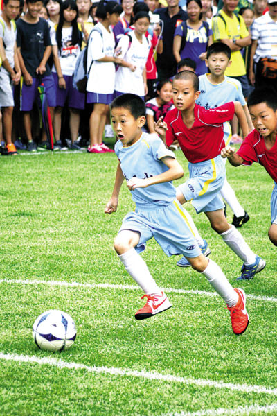 军备节奏 军备节奏